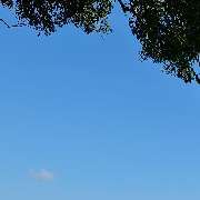 Panama Tours and Scuba SA - GALLERY