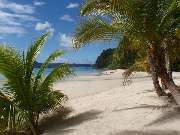 Panama Tours and Scuba SA - GALLERY