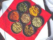 Panjabi Shaan Inh. Amarjit Singh - GALLERY
