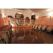 Panoramaweingut Baumgärtner - GALLERY