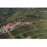 Panoramaweingut Baumgärtner - GALLERY