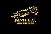 Panthera Umzug Berlin - 1