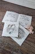 Papierwild - GALLERY