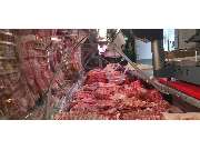 Paradiesana - GALLERY