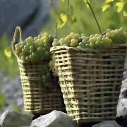 Paragamix GmbH - GALLERY