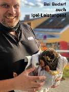 Park-Apotheke - Bild 11