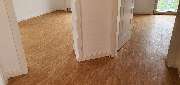 Parkett Bilir - GALLERY
