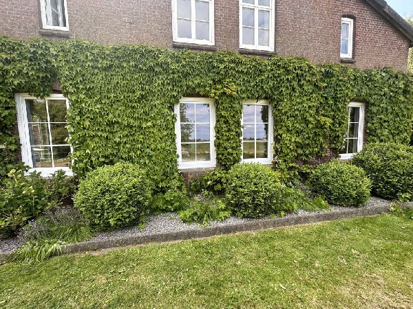 Parkett & Montageservice Börchers - 42C06C93-4911- …