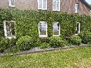 Parkett & Montageservice Börchers - 42C06C93-4911-4C67-8B46-198DD3E330B1.jpeg