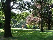 Parkhotel Engelsburg, BW Premier Collection by Best Western - Local attraction