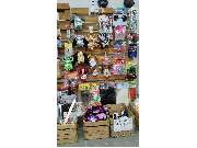 Partykrake - GALLERY