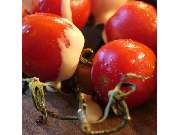 Partyservice lecker.de - GALLERY