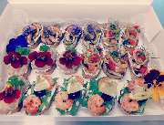 Partyservice Schloßborn - Party Box