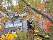 Patrick Weihe Baum + Garten - 4