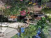 Patta Restaurant & Café - Restaurant Patta in Friedrichshagen, Blick in den Garten. Wir befinden uns ganz in der Nähe vom S-Bahnhof Friedrichshagen.