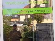 PAV Herzog - 2
