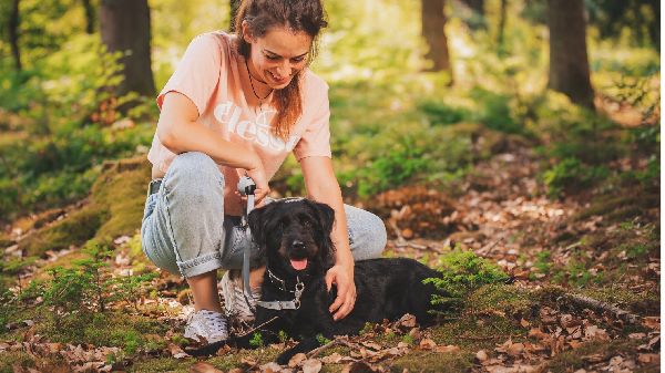 pawsitive dynamics - GALLERY