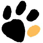 PAWZLOVE - 1
