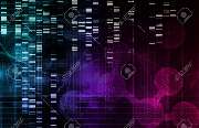 PCR-Labor-Services GbR - 4