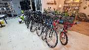 PEDALO Fahrradhaus Wiehe Inh. Thomas Schulz - GALLERY
