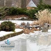 Pedro Cardoso Hausmeisterservice - Gartenpflege und Gebäudereinigung Bonn - GALLERY