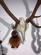 Pelzhaus Plappert e K - GALLERY