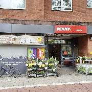 PENNY - GALLERY