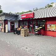 PENNY - GALLERY