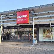 PENNY - GALLERY