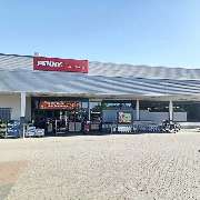 PENNY - GALLERY