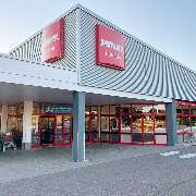 PENNY - GALLERY