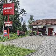 PENNY - GALLERY