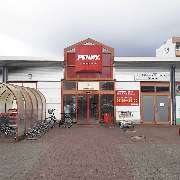 PENNY - GALLERY