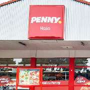 PENNY - GALLERY