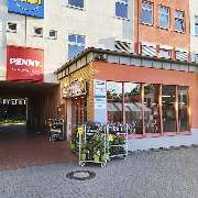 PENNY - GALLERY