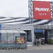 PENNY - GALLERY