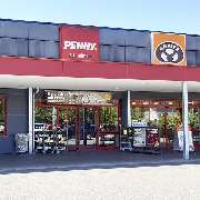 PENNY - GALLERY