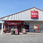 PENNY - GALLERY