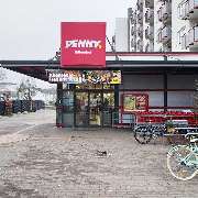 PENNY - GALLERY
