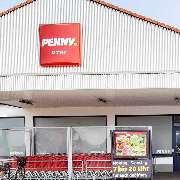 PENNY - GALLERY