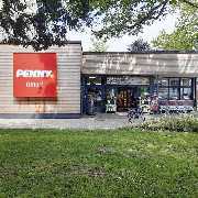 PENNY - GALLERY