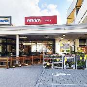 PENNY - GALLERY