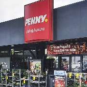 PENNY - GALLERY