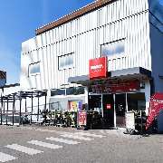 PENNY - GALLERY