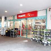 PENNY - GALLERY
