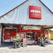 PENNY - GALLERY