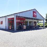 PENNY - GALLERY