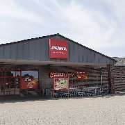 PENNY - GALLERY