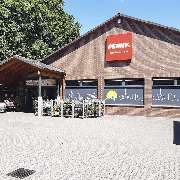 PENNY - GALLERY
