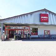 PENNY - GALLERY